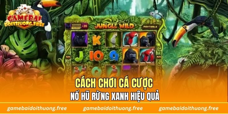 Cách chơi cá cược nổ hũ rừng xanh hiệu quả