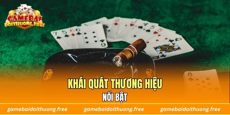Khái quát thương hiệu nổi bật